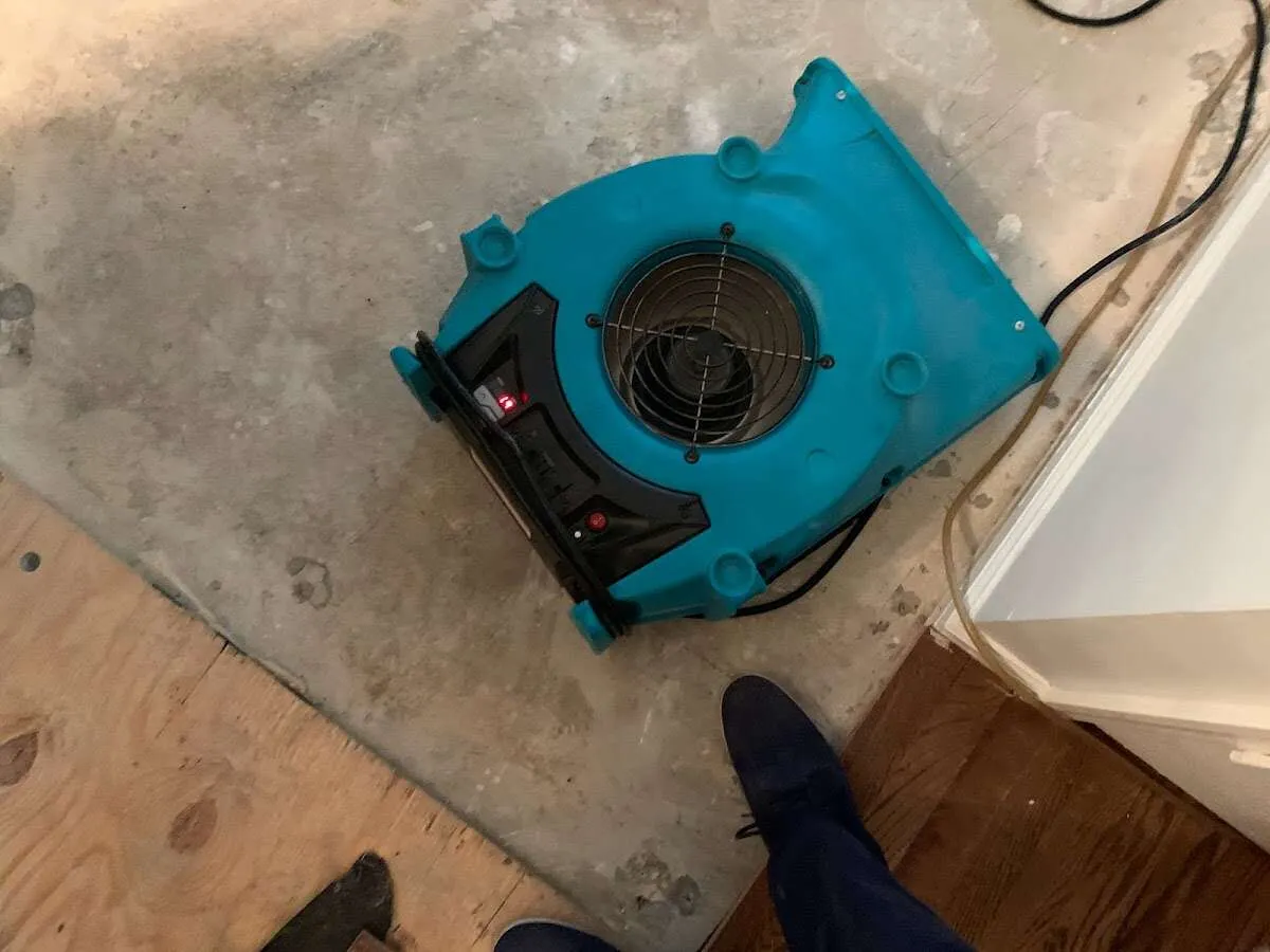 Air mover drying subfloor during Commercial Water Damage Restoration in Linda